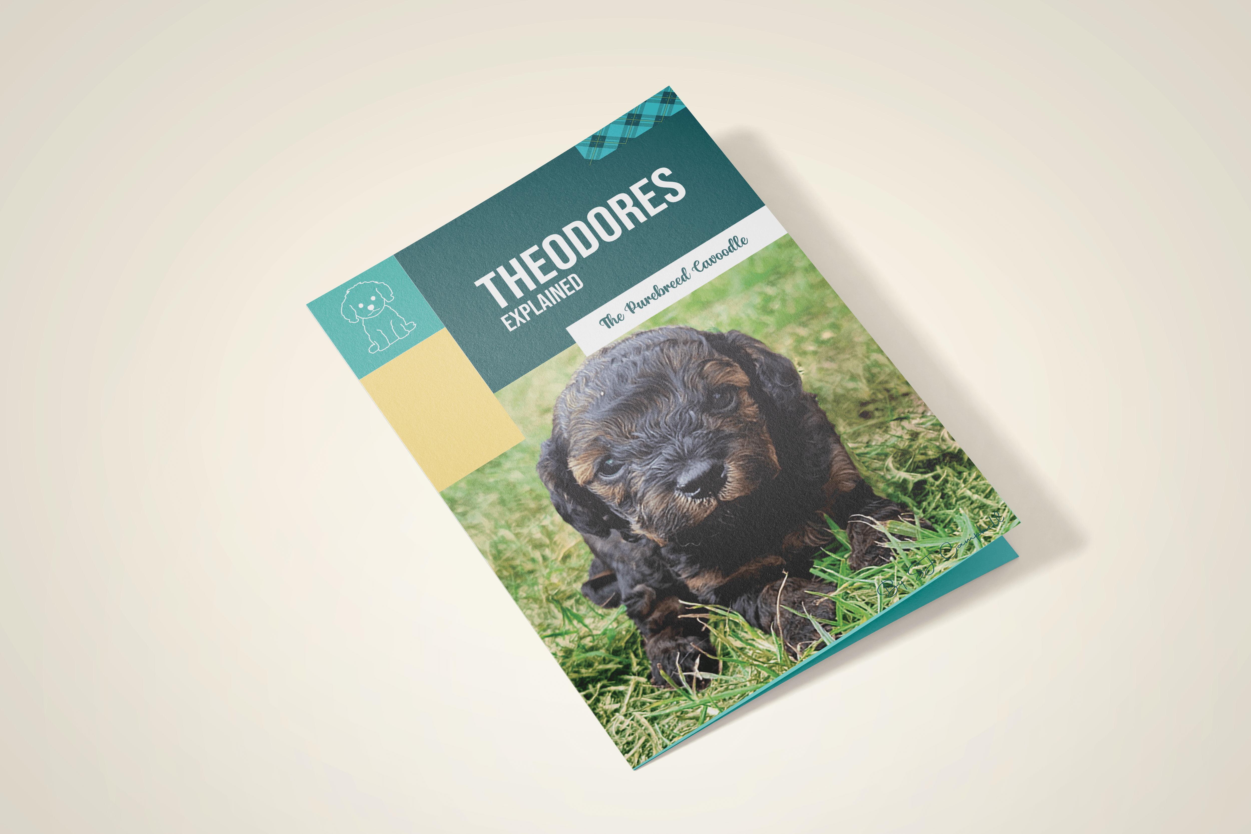 Graphic Designer Portfolio book cover for a cavoodle breeder